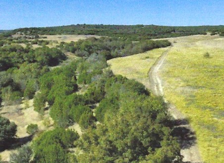 62 acres of farm and ranch land, Bluff Dale TX